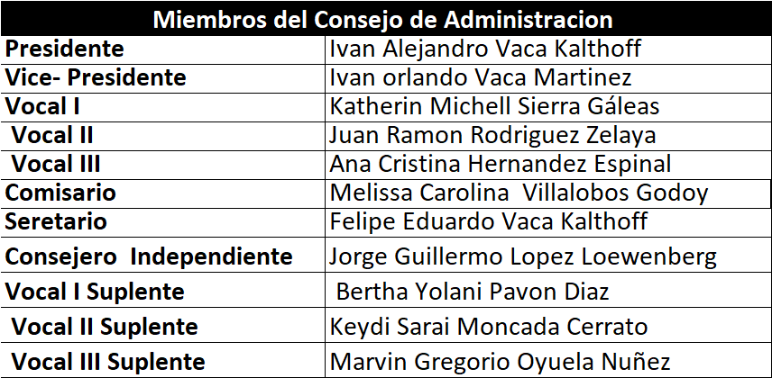 Estructura del Órgano de Administración