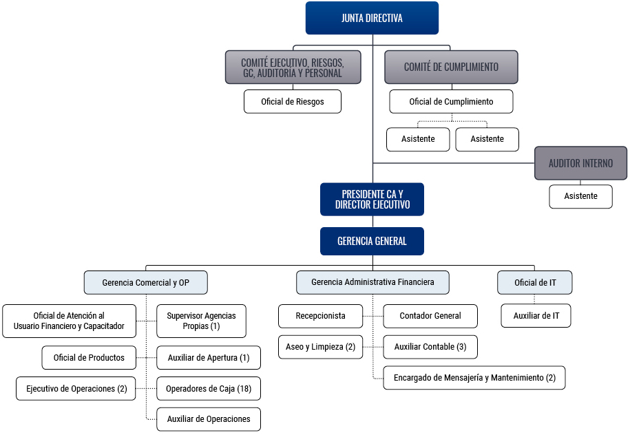 Organigrama Corelsa